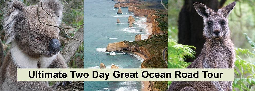 Ultimate Great Ocean Road Tour 2 Days Great Ocean Road Trip Melbourne 3730