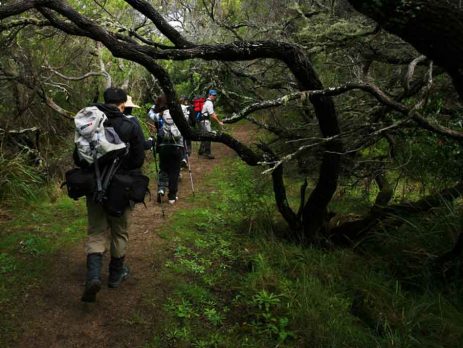 walking on the great ocean walk victoria rezdy lg