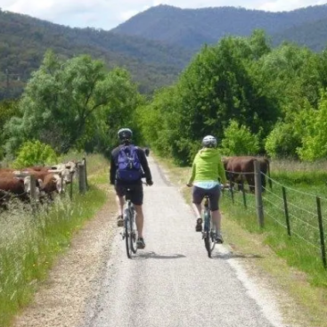 Screenshot 2026 04 24 134301