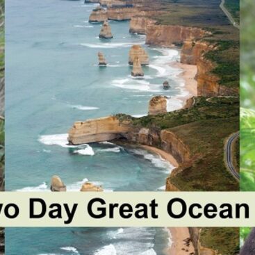 AAA Great Ocean Road viator lg rdh4sh11izhlw5r7engp9uibm63v4ixxjuwo931b3w