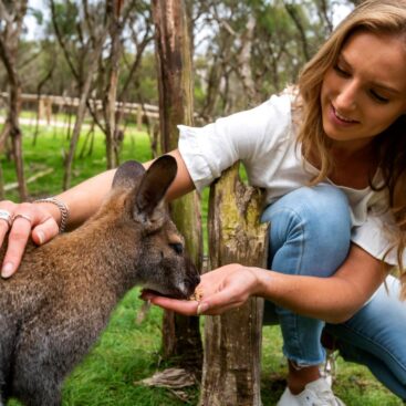 girl with roo copy lg 1