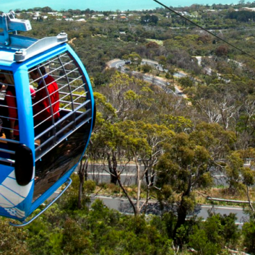 Arthurs Seat Eagle lg