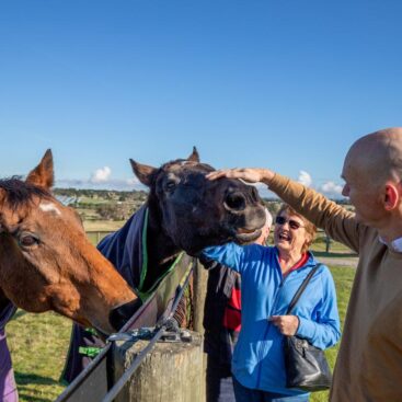 Living Legends Patting Horse lg