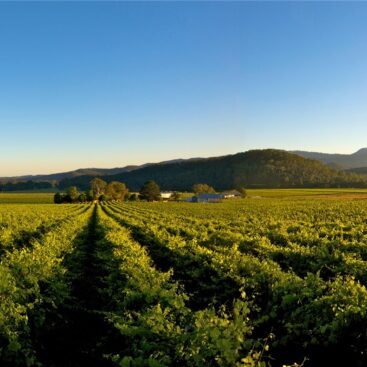 cc278b263f6c453597b1039b926d4992Chrismont King Valley9